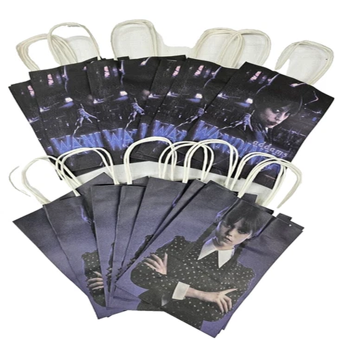 Lot of 16 WANDINHA Addams Family Birthday Party Favor Gift Bags