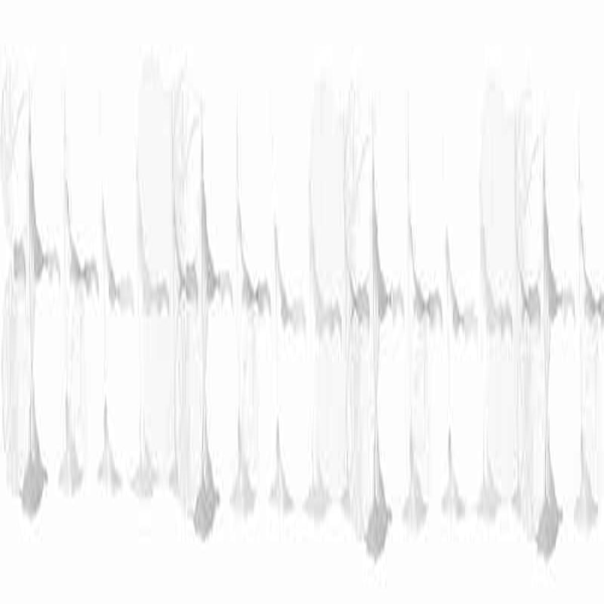 White Paper Garland | 12′ x 7″