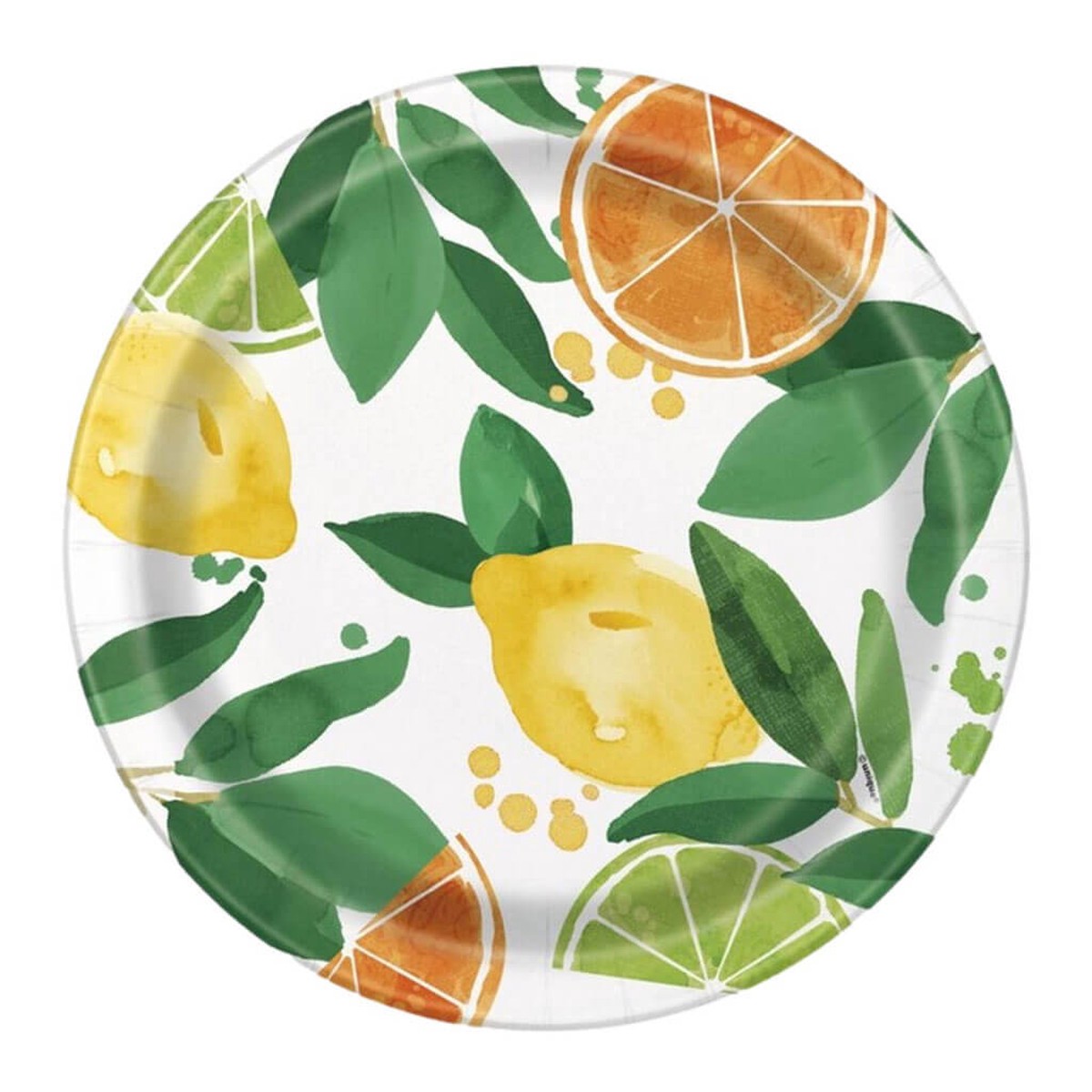 Citrus Fruit Dinner Plate 9in 8ct