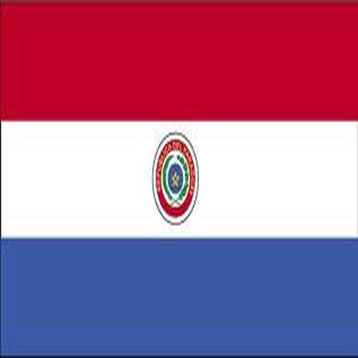 Paraguay Flag with Stick | 4″ x 6″
