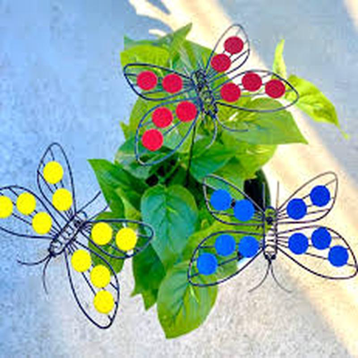BUTTERFLY WIRE ON STICK