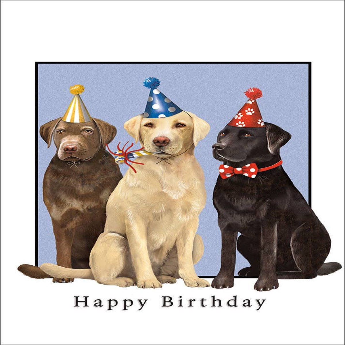 3 Labs – Birthday Card