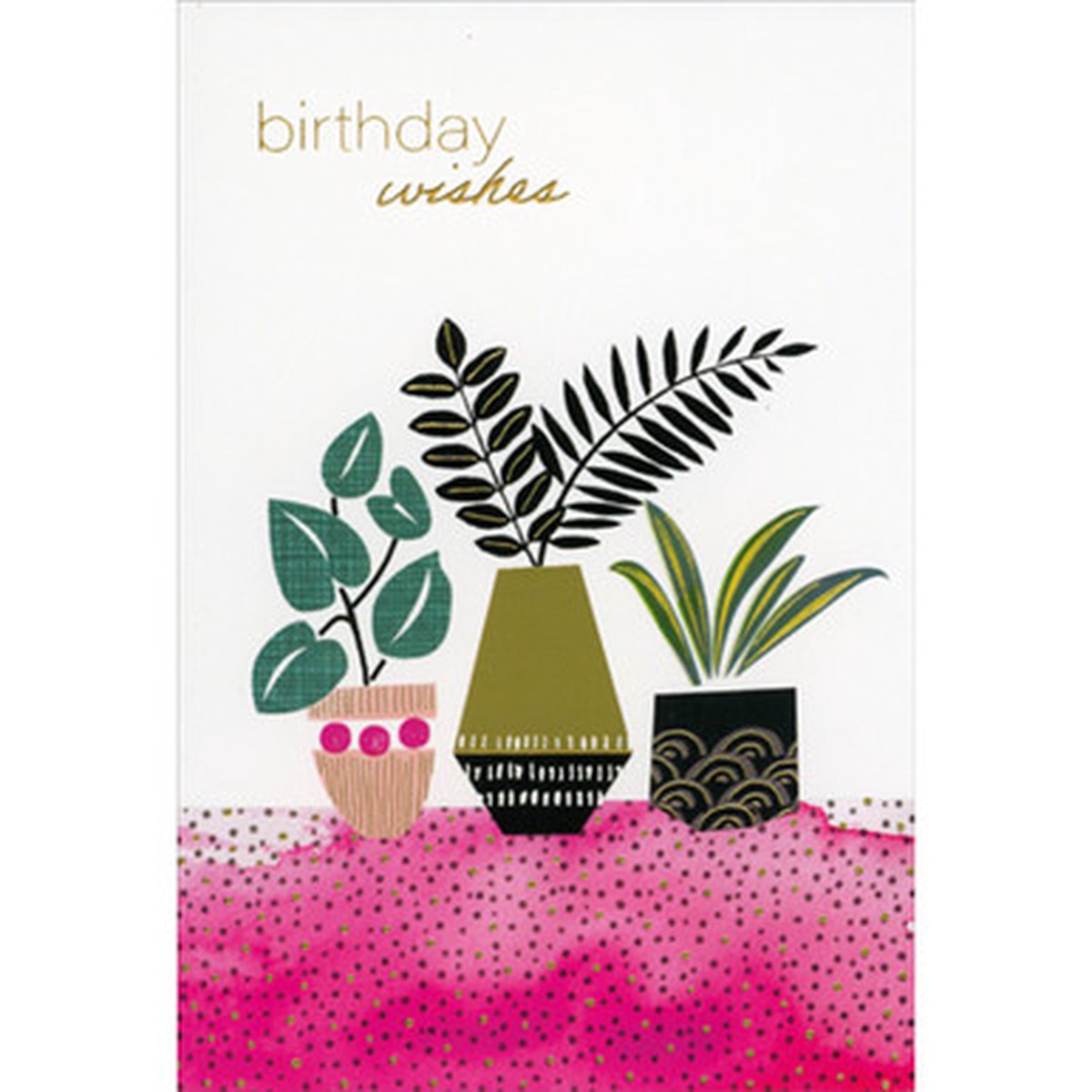 3 Potted Plants on Pink Table Birthday Card
